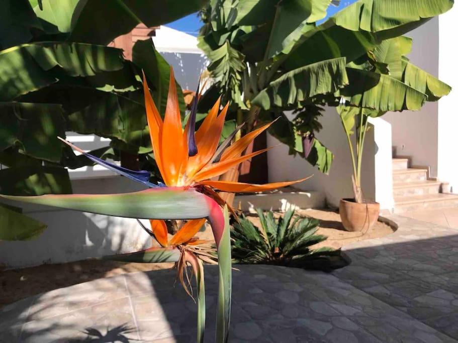 Gezellige Villa Met Prachtig Zicht En Zwembad أرونا المظهر الخارجي الصورة
